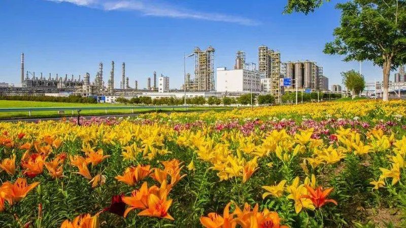 精细化工产品在涂料行业的应用解析