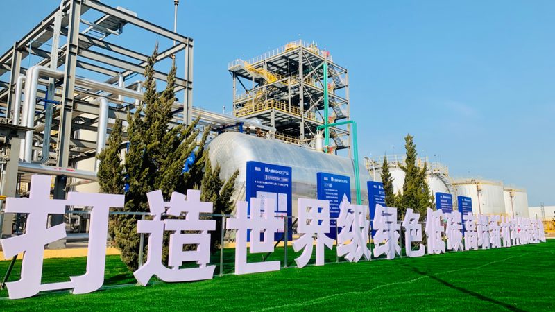 中药材生物防腐剂：优缺点解析